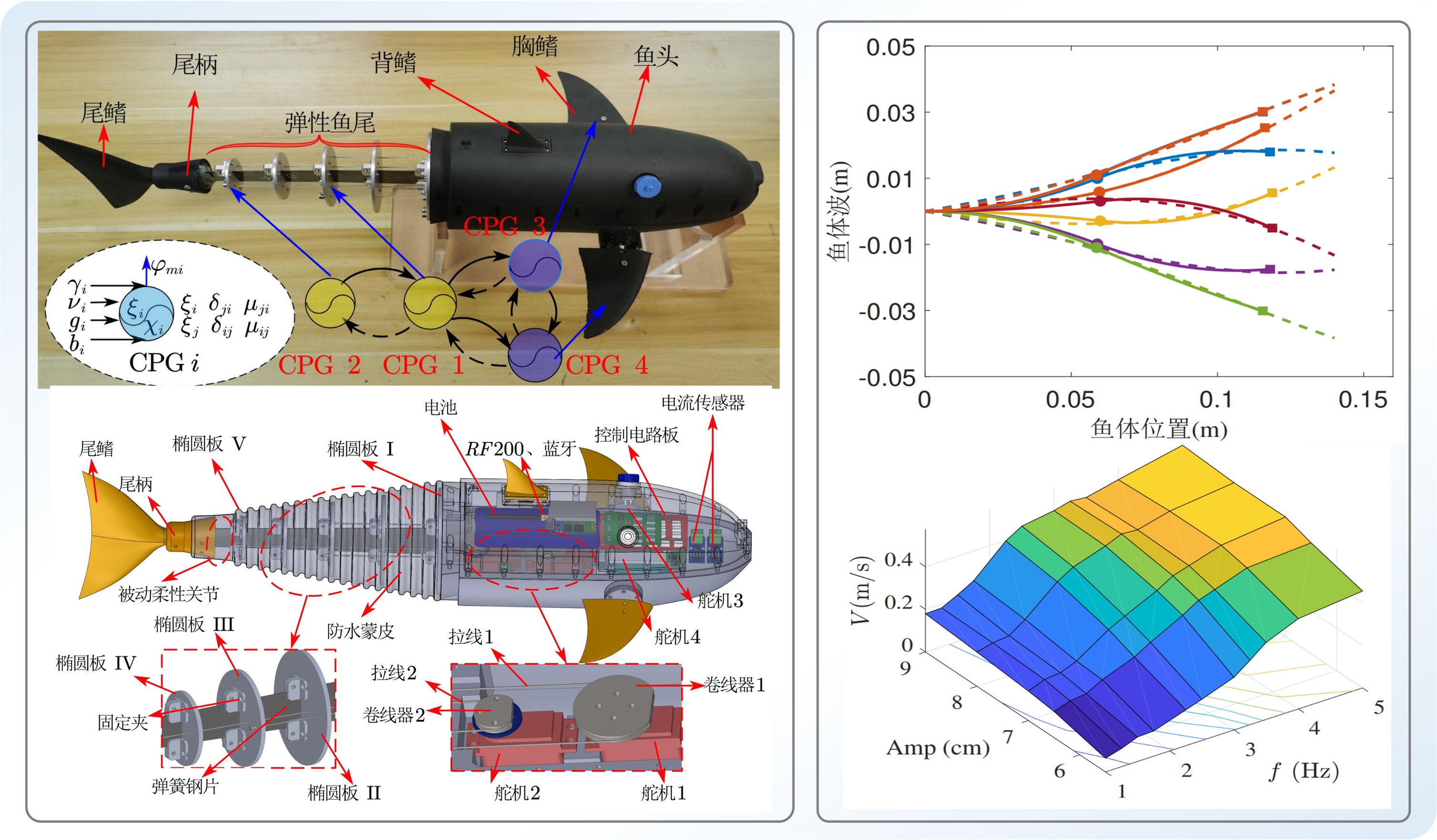 Dual wires driven robotic fish