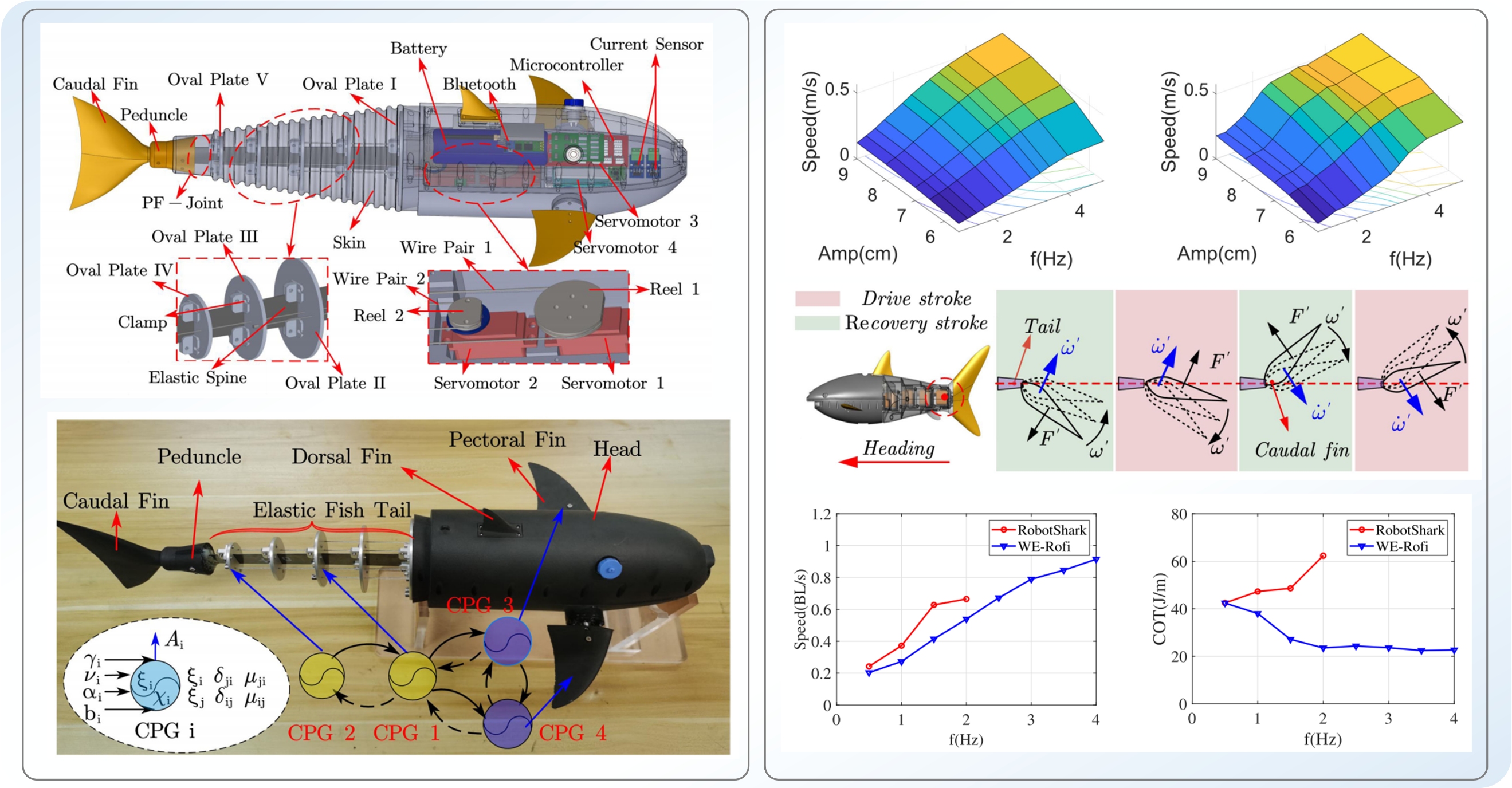 Dual wires driven robotic fish