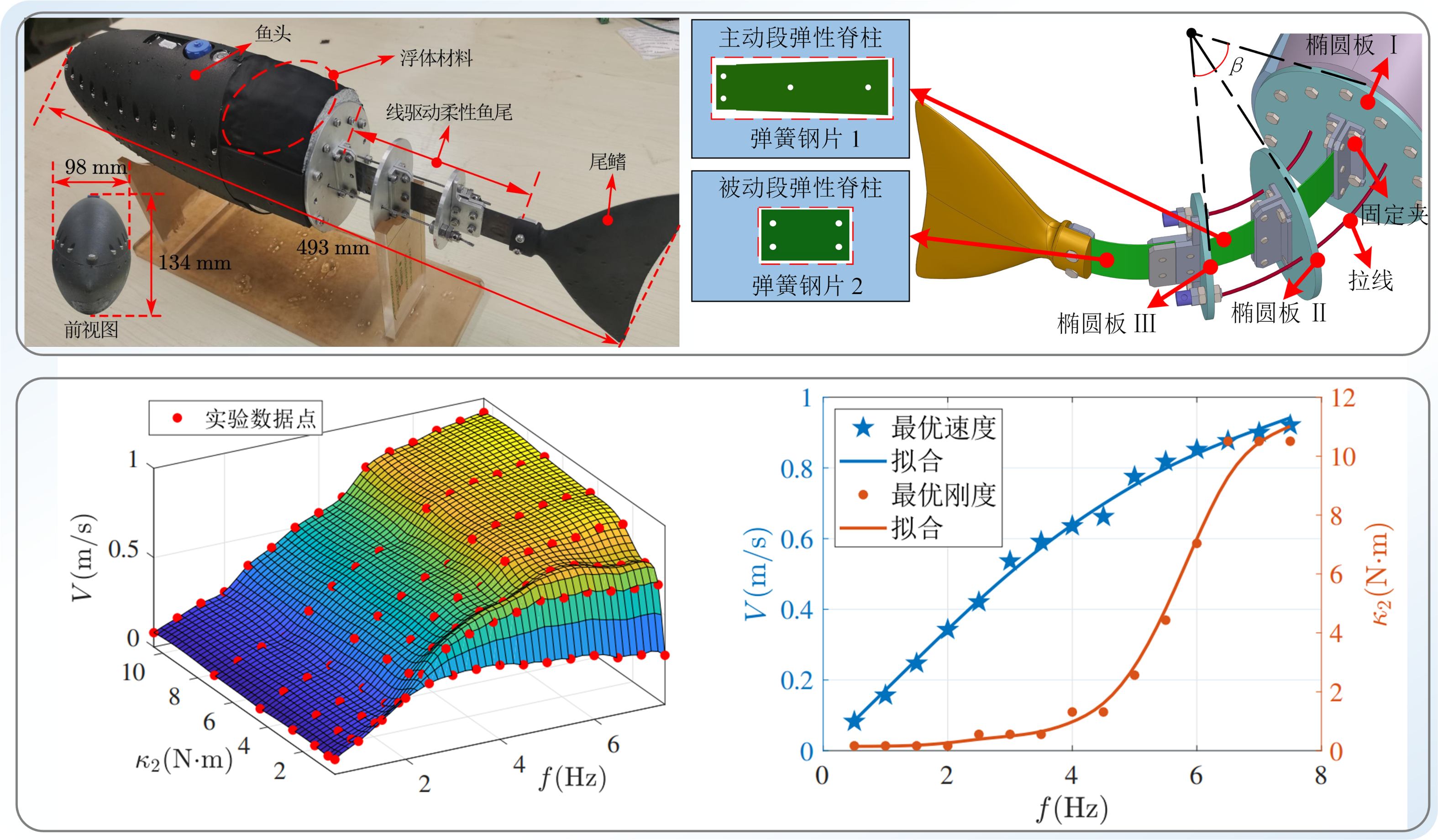 Wire-driven robotic fish